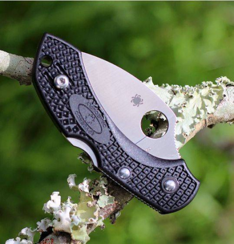 Складной нож Spyderco Dragonfly 2 Wharncliffe C28FPWCBK2 фото 9 Складной нож Spyderco Dragonfly 2 Wharncliffe C28FPWCBK2 фото 9