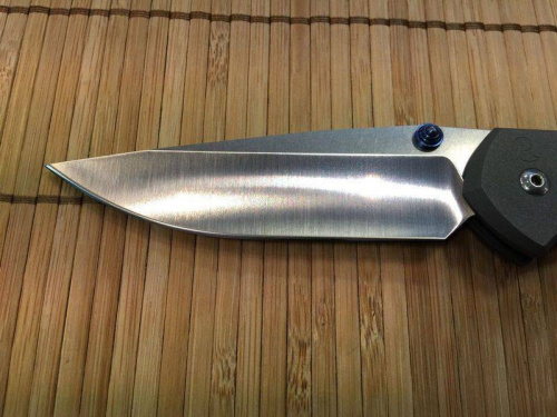 3810 Chris Reeve Large Sebenza 21 Polished Blade фото 7