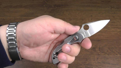 Складной нож Spyderco Dragonfly 2 - 28P фото 3