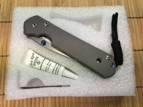 3810 Chris Reeve Large Sebenza 21 Polished Blade фото 5