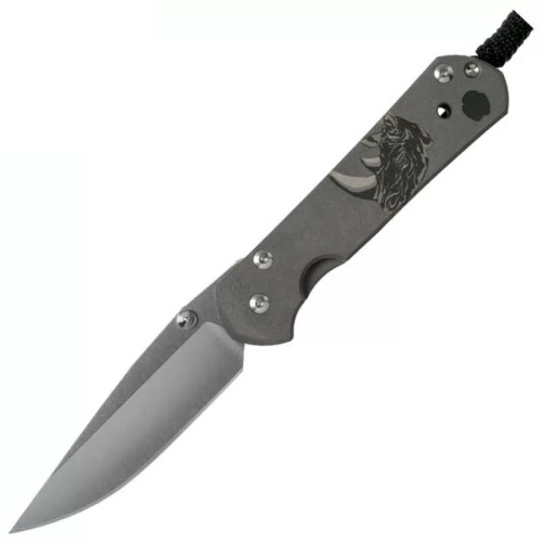 Складной нож Chris Reeve Large Sebenza 21 фото 4 Складной нож Chris Reeve Large Sebenza 21 фото 4