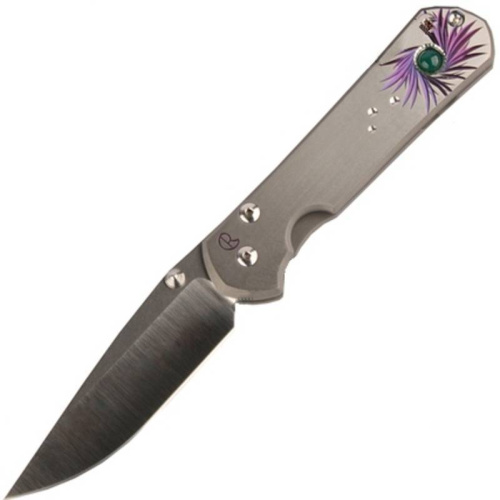 3810 Chris Reeve Large Sebenza 21 Agate Cabochon